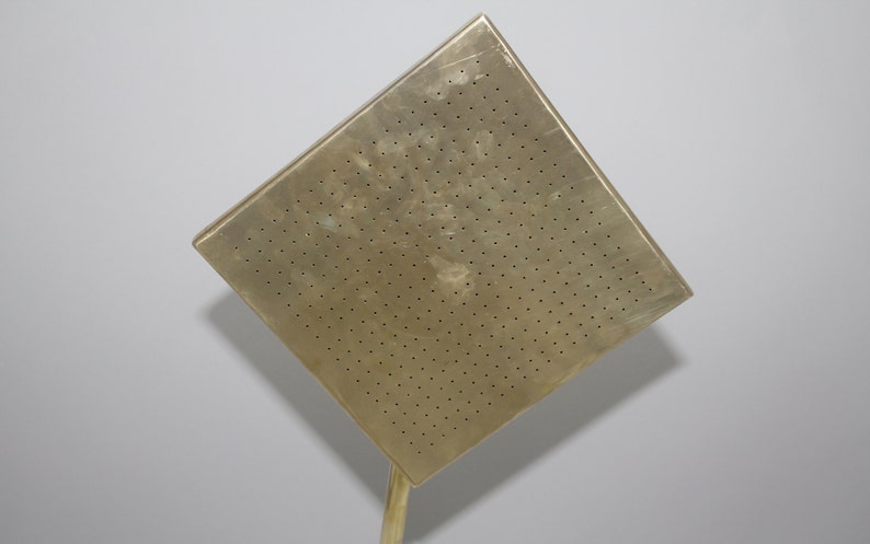 Unlacquered Brass Rain Shower Head