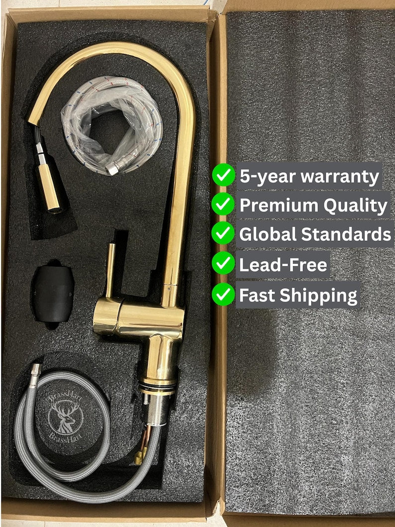 Pull-Down Brass Kitchen Faucet