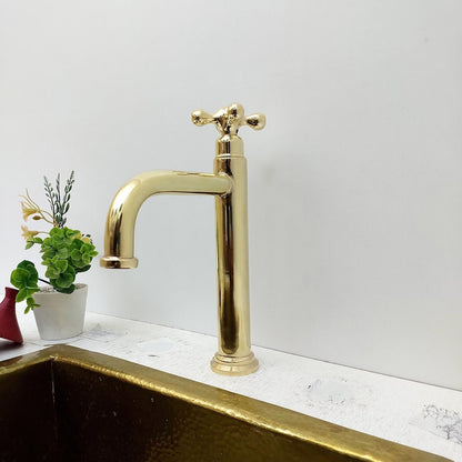 Tall Polished Brass Faucet