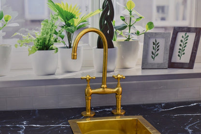 Brass Bridge Kitchen Faucet with Matching Side Sprayer