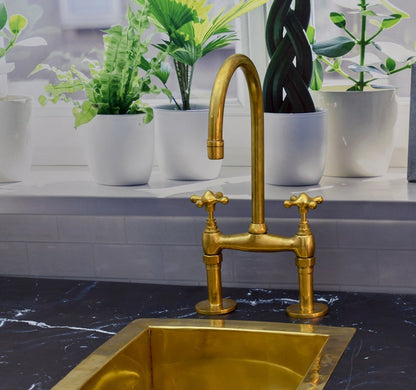 Brass Bridge Kitchen Faucet with Matching Side Sprayer