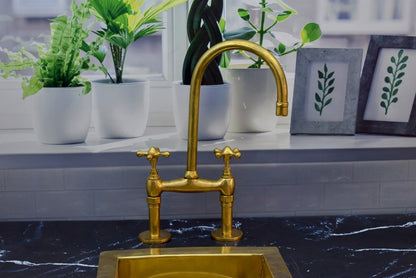 Brass Bridge Kitchen Faucet with Matching Side Sprayer