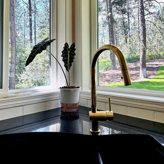 Brass Kitchen Faucet with Pull-Down Sprayer