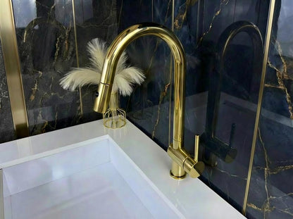 Unlacquered Brass Pull-Down Kitchen Faucet