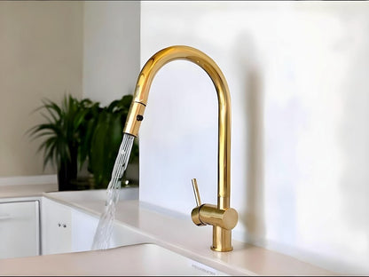Pull-Down Brass Kitchen Faucet
