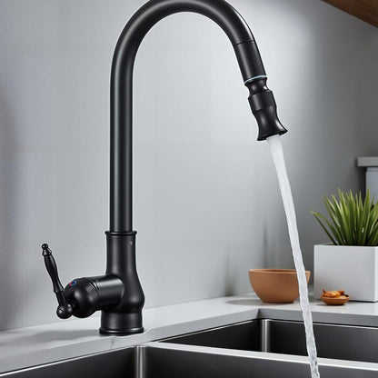 Matte Black Kitchen Faucet