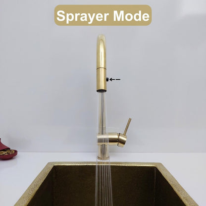 Unlacquered Brass Single Lever Kitchen Faucet