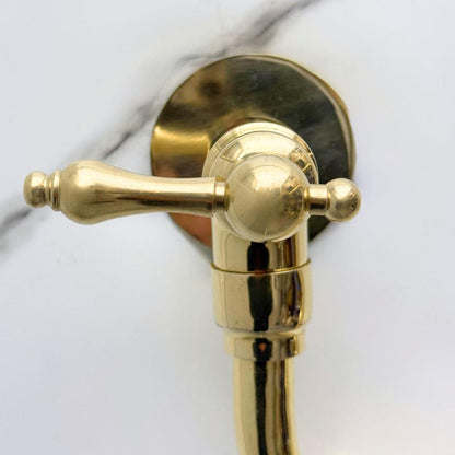 Polished Brass Wall-Mount Faucet