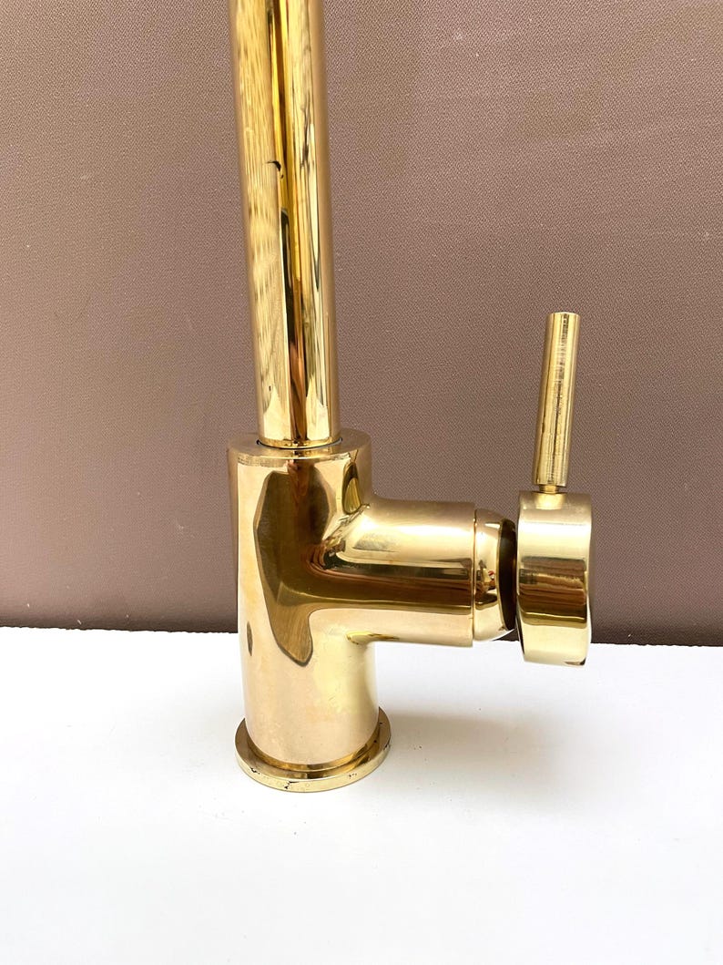 Polished Brass Gooseneck Kitchen Faucet with Lever Handle