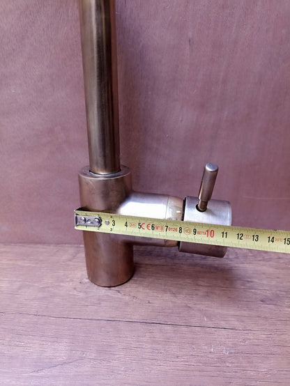 Brushed Antique Brass Gooseneck Kitchen Faucet with Lever Handle