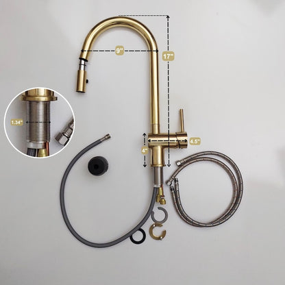 Unlacquered Brass Single Lever Kitchen Faucet