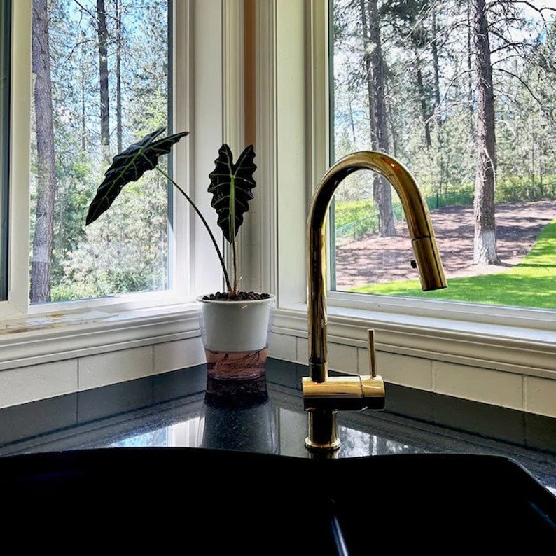 Unlacquered Brass Pull-Down Kitchen Faucet