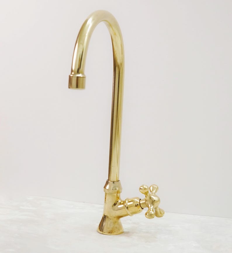 Solid Brass Gooseneck Faucet with Cross Handle & Supply Hose
