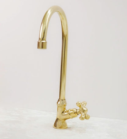 Solid Brass Gooseneck Faucet with Cross Handle & Supply Hose