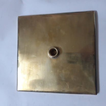 Unlacquered Brass Rain Shower Head