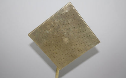 Unlacquered Brass Rain Shower Head