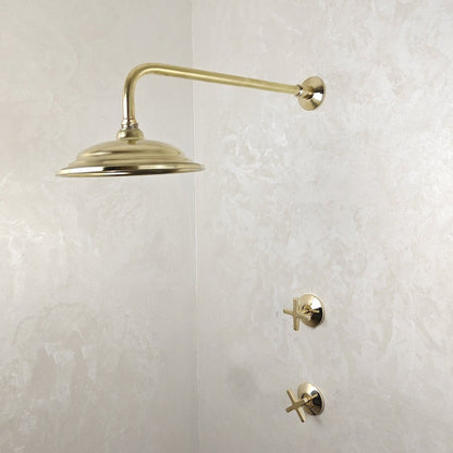 Antique Brass Exposed System