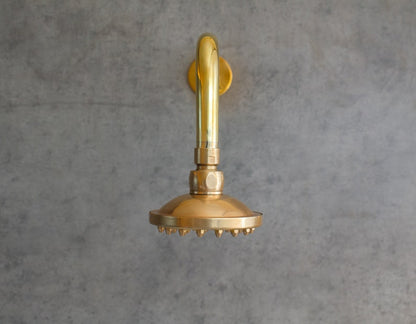 Artisan Unlacquered Rain Shower
