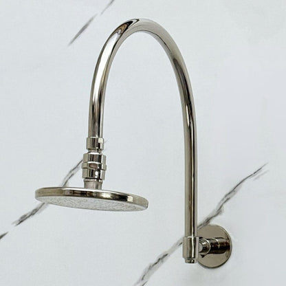 Luxury Polished Nickel Rain Shower Head with Curved Wall Arm
