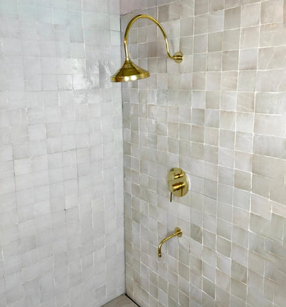 Luxury Architectural Brass Shower System with Tub Spout