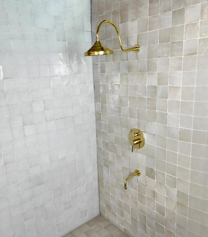 Luxury Architectural Brass Shower System with Tub Spout