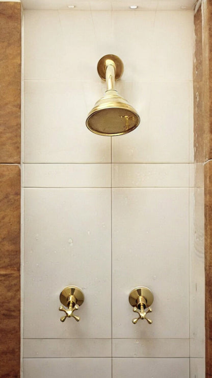Artisan Unlacquered Brass Shower Set