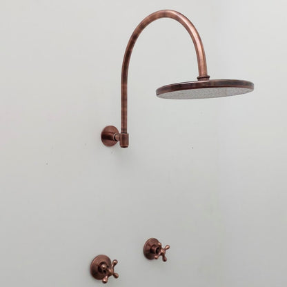 Old World Bronze Shower System