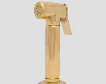 Elite Polished Gold Handheld Bidet Sprayer