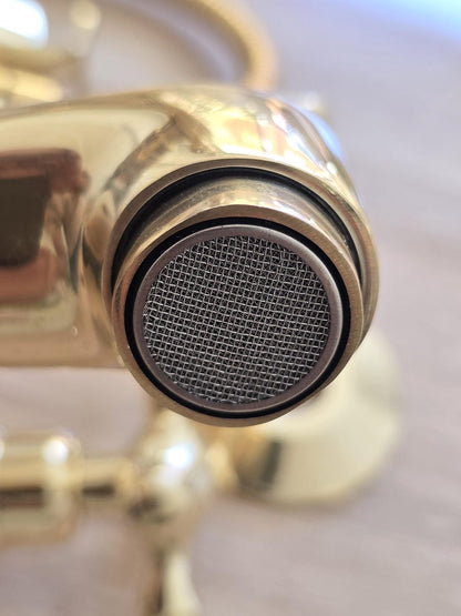 Elite Polished Gold Wall-Mount Telephone Shower System