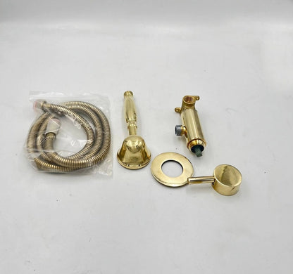 Elite Polished Brass Integrated Shower Mixer