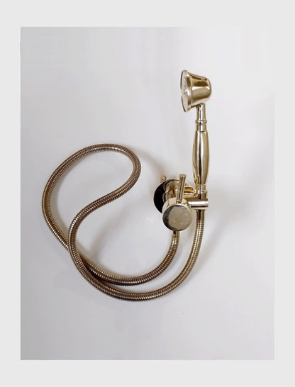 Elite Polished Brass Integrated Shower Mixer